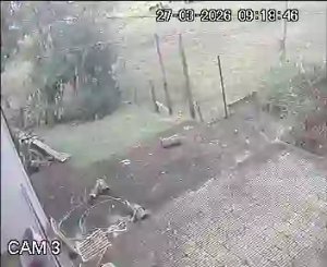 Caméra IP - Uruguay