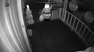 Caméra IP - United States of America