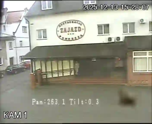 Caméra IP - Polonia