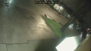 Caméra IP - United Kingdom