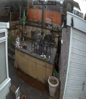 Caméra IP - United Kingdom