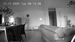 Caméra IP - Netherlands