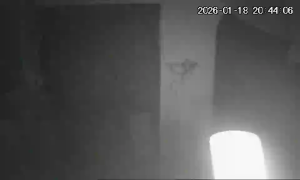 Caméra IP - Ukraine