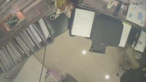 Caméra IP - Malaysia