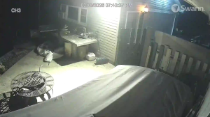 Caméra IP - United States of America