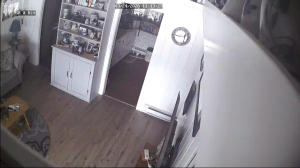 Caméra IP - United States of America