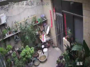 Caméra IP - Cina
