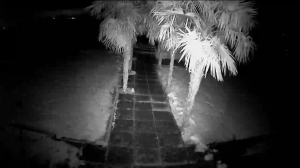 Caméra IP - Paesi Bassi