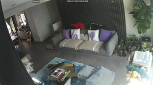 Caméra IP - Hong Kong