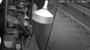 Caméra IP - Thailand