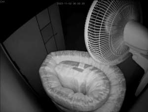 Caméra IP - Corée du Sud