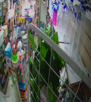 Caméra IP - Colombia