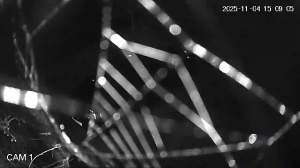 Caméra IP - Vereinigtes Königreich