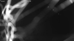 Caméra IP - Vereinigte Staaten von Amerika