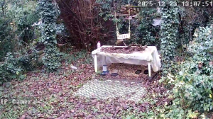 Caméra IP - Frankreich