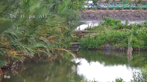 Caméra IP - Vietnam