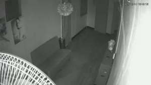 Caméra IP - Corée du Sud