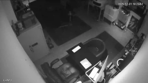 Caméra IP - Germany