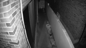 Caméra IP - South Korea