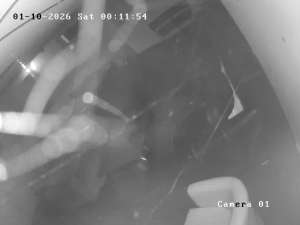 Caméra IP - United Kingdom