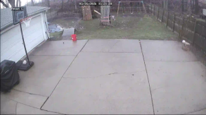 Caméra IP - États-Unis d'Amérique