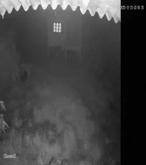 Caméra IP - Thailand