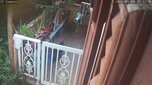 Caméra IP - Martinique