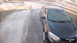 Caméra IP - United States of America