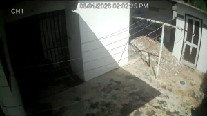 Caméra IP - Curaçao