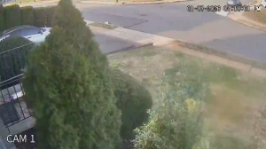 Caméra IP - États-Unis d'Amérique