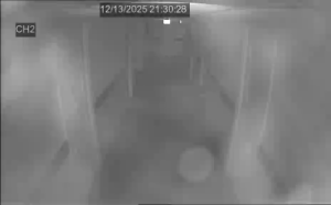 Caméra IP - Netherlands