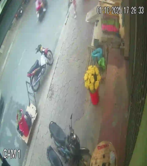 Caméra IP - Vietnam