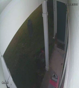 Caméra IP - United States of America