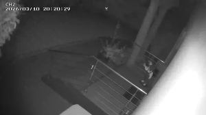 Caméra IP - Frankreich