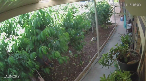 Caméra IP - Australia