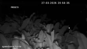 Caméra IP - Portugal