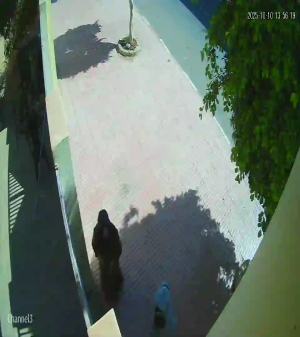 Caméra IP - Marruecos
