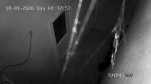 Caméra IP - Germany