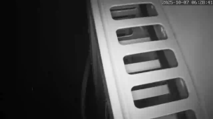 Caméra IP - Giappone