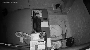 Caméra IP - Ukraine