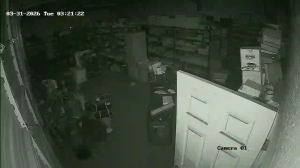 Caméra IP - United States of America