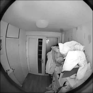 Caméra IP - Pays-Bas