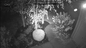 Caméra IP - États-Unis d'Amérique