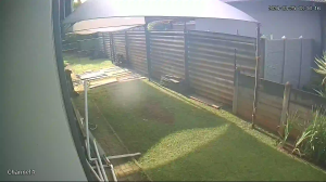 Caméra IP - South Africa