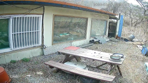 Caméra IP - Corea del Sud