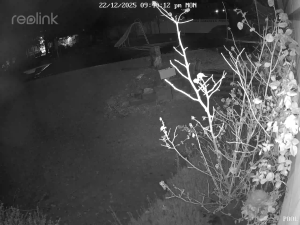 Caméra IP - Vereinigte Staaten von Amerika