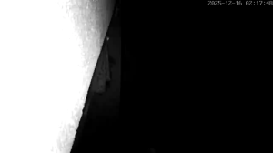 Caméra IP - Schweiz