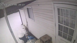 Caméra IP - Vereinigte Staaten von Amerika