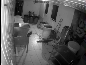 Caméra IP - United Kingdom