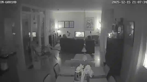 Caméra IP - Allemagne